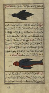 Deux poissons étranges des mers de Vaynah (Vinah) - Zakariya al Qazwini